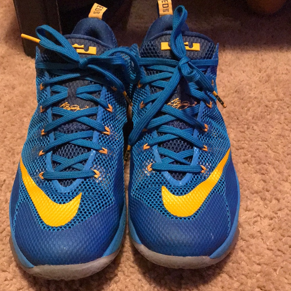 Nike LeBron 12 Low “Entourage” Size 12.5